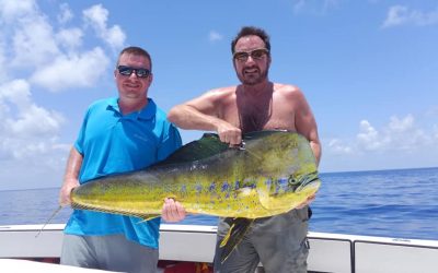 Mahi Mahi – Key West Mahi Fishing